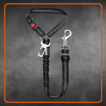 Two-in-One Dog Harness & Leash