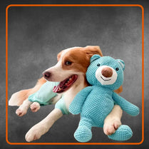 Plush Squeaky Dog Toy