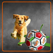 Interactive Dog Football Toy